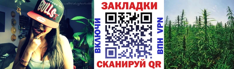 Какие есть наркотики Тарко-Сале Alpha PVP  Cocaine  Псилоцибиновые грибы  Конопля  НБОМе  Меф мяу мяу  Гашиш 
